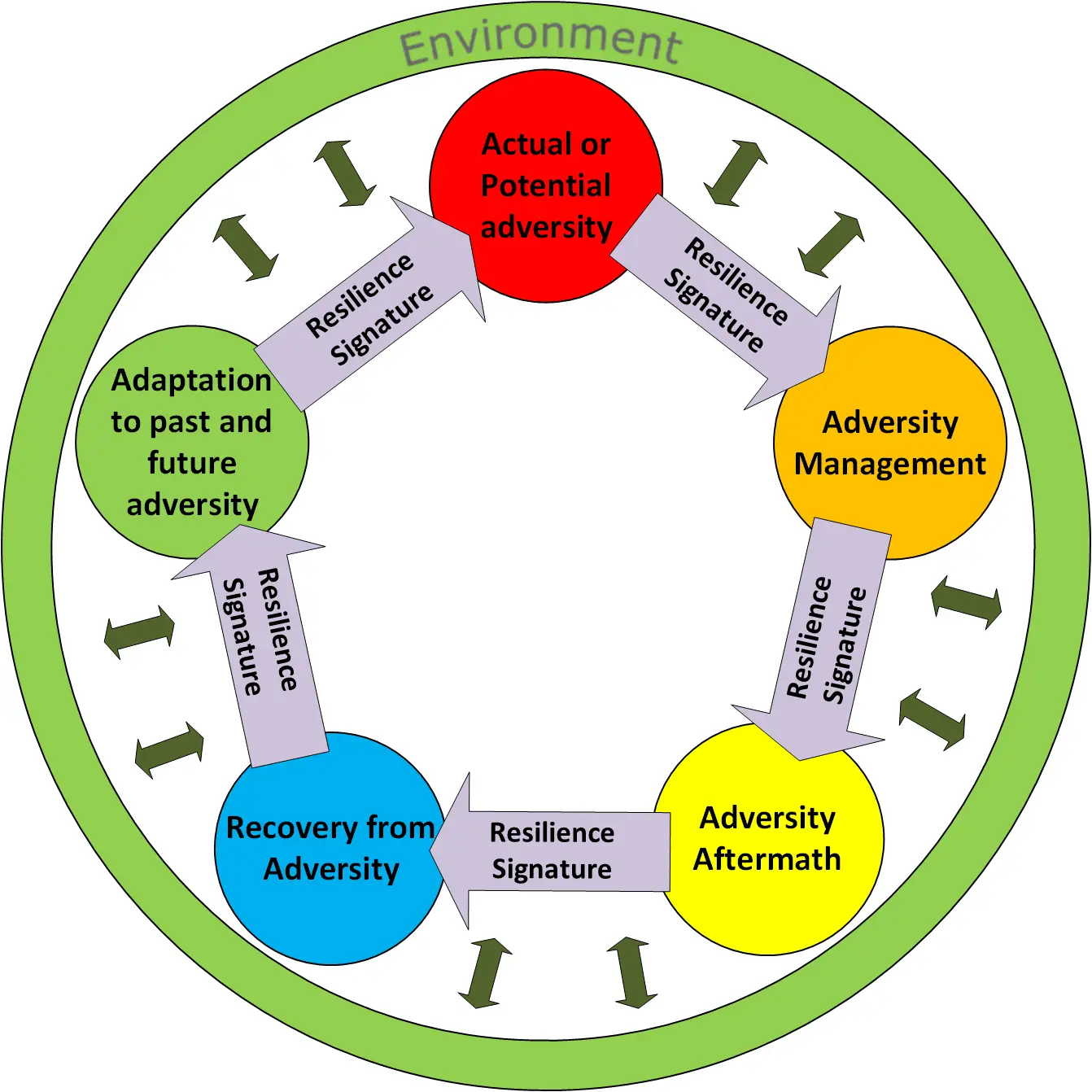Resilience Cycle